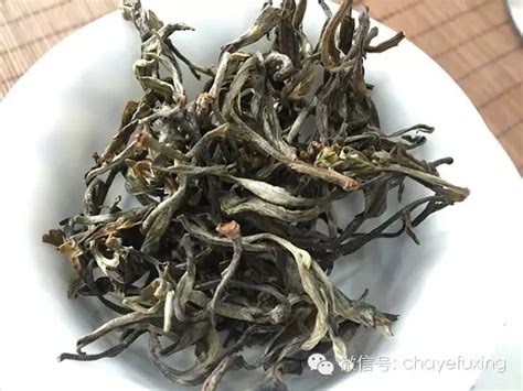 易武普洱茶与众不同的特点是什么,几种普洱茶的不同特点是什么