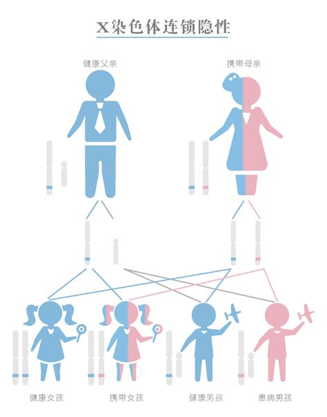 成骨不全隐性基因