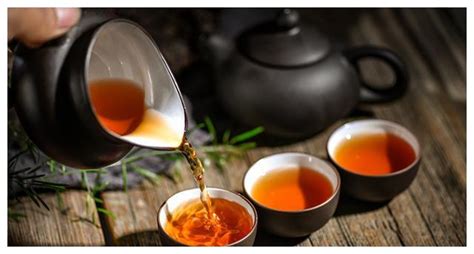 外国人为什么不种茶,有什么是你去了海南才知道的
