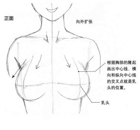 胎心位置怎么找