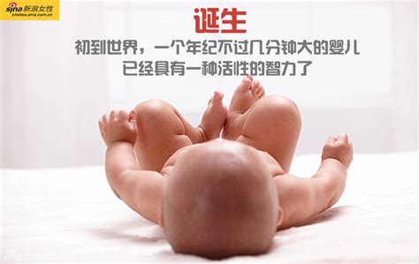 胎儿发育全过程视频高清