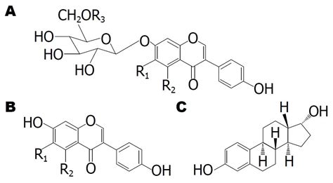 鲜胚移植后每天需要打黄体酮吗