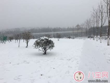 写雪的句子优美段落