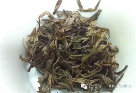 黑茶为什么叫毛主席茶,走进中国黑茶之乡