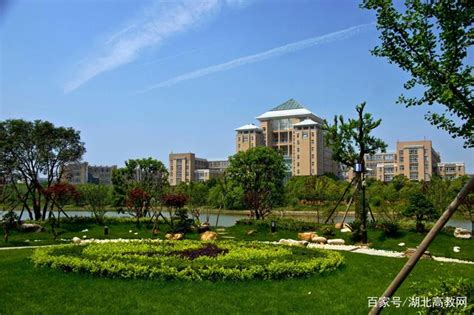 聚焦双一流之武汉科技大学,武汉科技大学什么专业最好