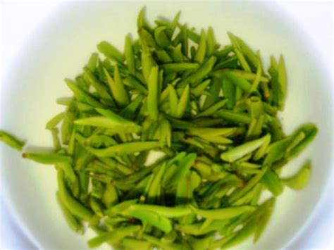 为什么绿茶分炒青和烘青,绿茶为什么要炒青