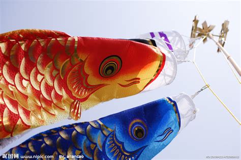 什么是鯉魚旗啊?