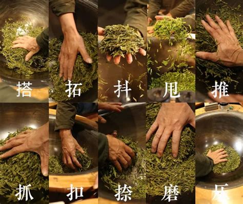 青茶的制作工艺流程