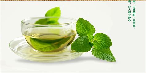 红茶绿叶是什么意思,为何还有红茶绿茶之分