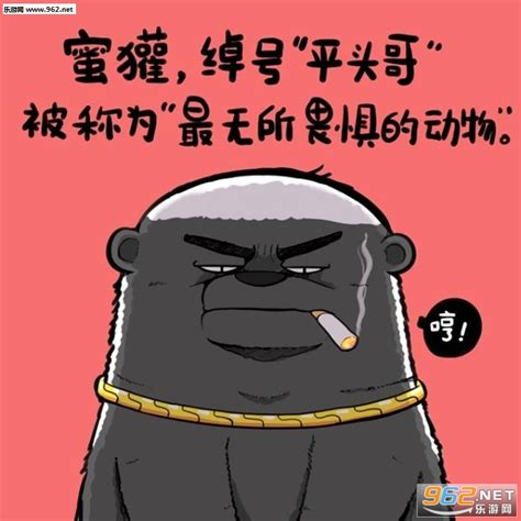 累不死就往死里干说说(摘抄63句)