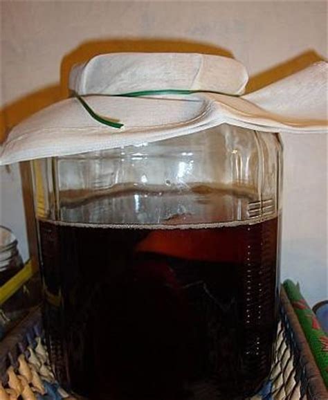 保存茶叶最适合用什么容器,红茶菌用什么容器