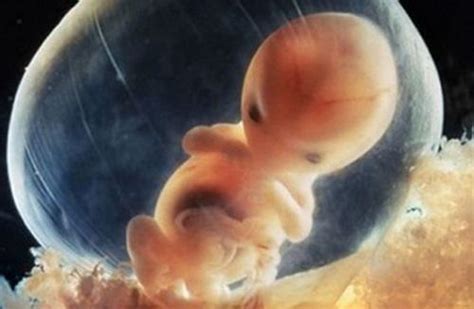 如何才能知道胎儿发育的好不好
