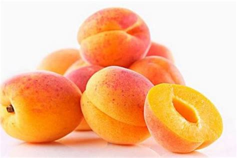 化痰的食物和水果