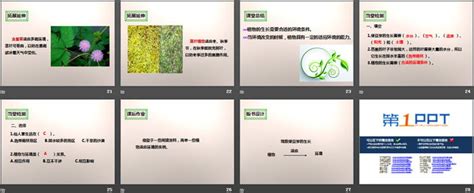 观察绿豆芽-小学生日记作文400字【合计4篇】