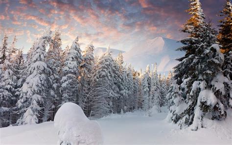 形容词什么的雪景
