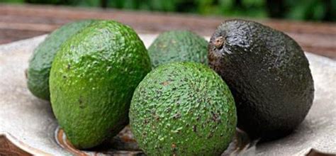 一天吃牛油果的最佳时间