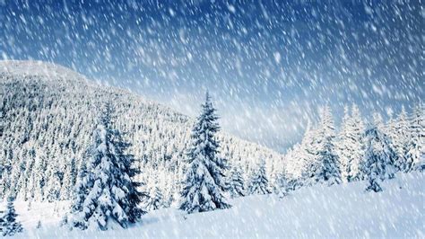 成语填空什么的雪
