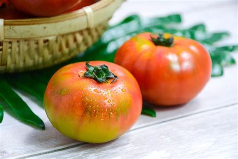 那种番茄好吃,这类番茄的种子哪里可以买到