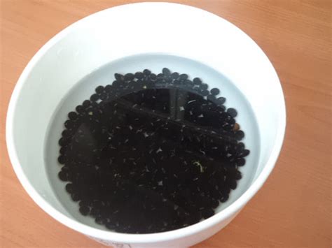 黑米黑豆花生打豆浆功效与作用