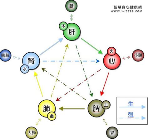 如何看自己五行