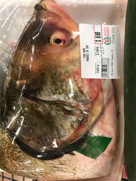 胖头鱼鱼头有多少种做法,炖胖头鱼鱼头怎么做