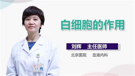 孕妇尿液中白细胞高是怎么回事