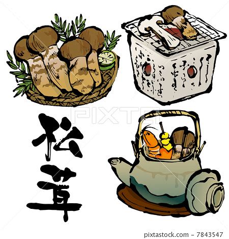 2019年中国松茸产量,松茸绘画图
