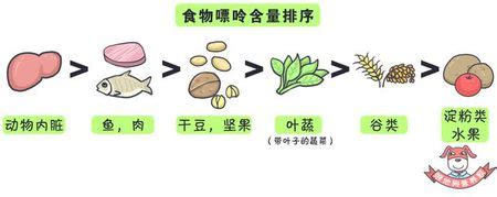 痛风病人食谱图片,痛风病人可以吃哪些食物