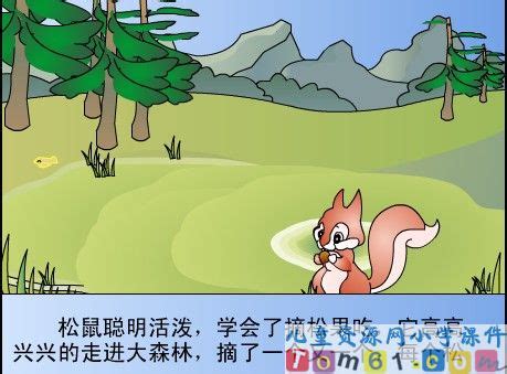 关于我和小松鼠600字作文（通用5则）