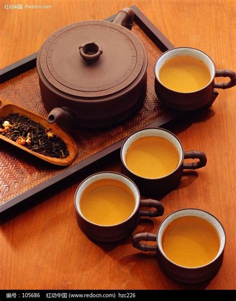 功夫茶具都泡什么茶,绿茶可以用功夫茶具泡吗