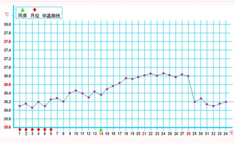 明天24小时天气预报