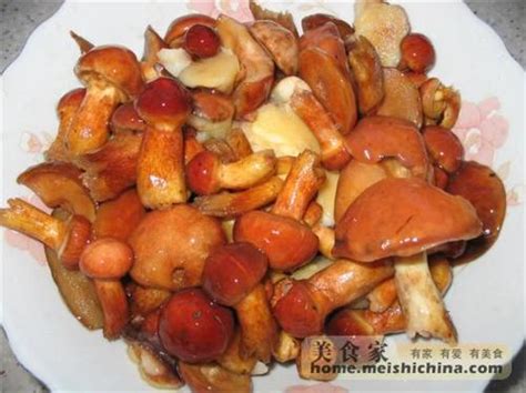 夏天粘团子蘑菇有毒吗,松茸和粘团子是一种吗
