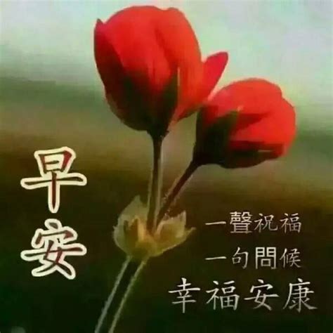 适合在微信朋友圈发的祝福问候语 微信问候语