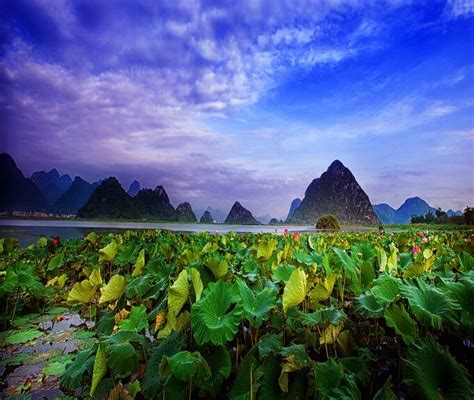 中国独一无二的喀斯特山水田园风光，云南普者黑最全游玩指南