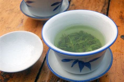 大叶苦丁茶怎么辨别真假,苦丁茶的产区有哪些
