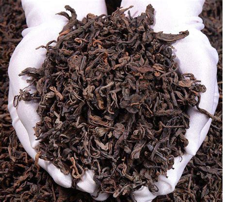 茶叶中氨基酸含量是多少,茶中的氨基酸之王