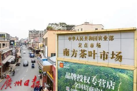 广西茶叶市场在哪里,走进广西苍梧六堡镇