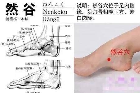 降血压第一穴