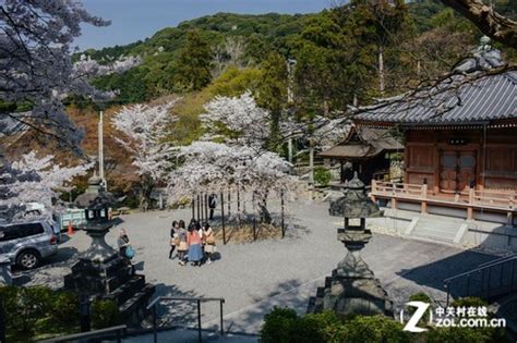 银阁寺，走进的第一个日本世界文化遗产