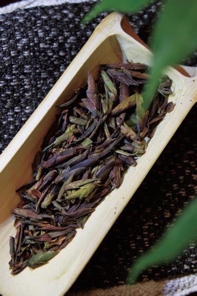 黑紫娟茶属于什么茶,碧蓝航线:赤城