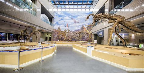 中国哪里有恐龙博物馆????