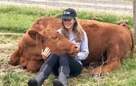 “抱牛体验”正成为国外农场的一个超级“网红”项目