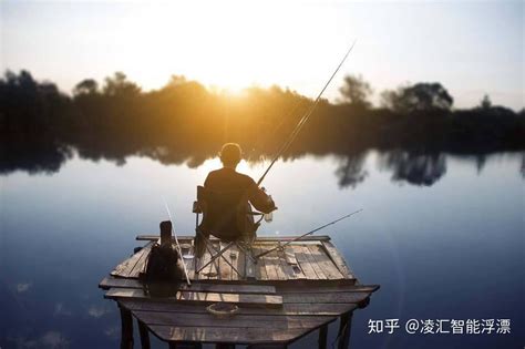 钓鱼的乐趣作文500字左右