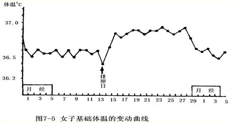 女性生理週期溫度變化幅度及時間