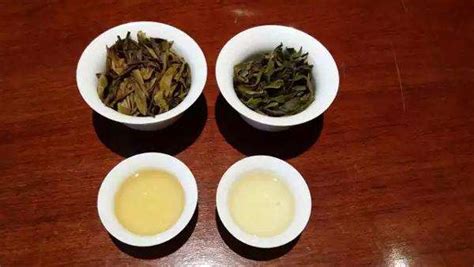 有人知道藤茶吗?藤茶属于茶吗?野茶?