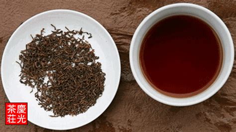 破堰茶是什么茶,老鹰茶是什么茶