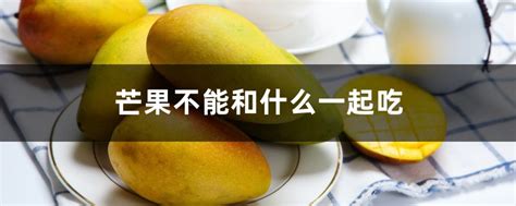 排卵期出血能不能吃芒果