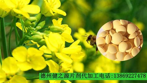 油菜花粉可以治愈前列腺炎?????????