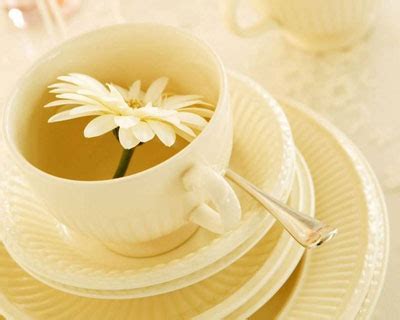 普洱茶与菊花素哪个更提神,菊花和普洱茶一起喝有什么好处丨知识
