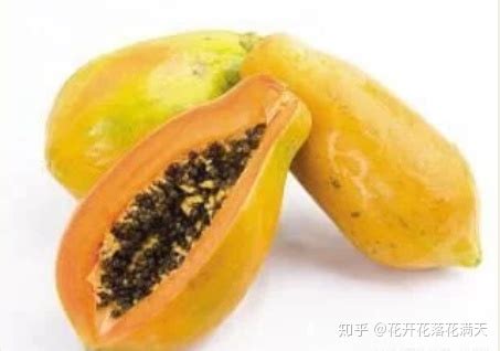 孕妇不能吃的12种食物